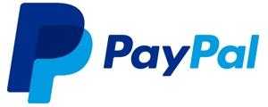 Systemy płatności w internecie PayPal
